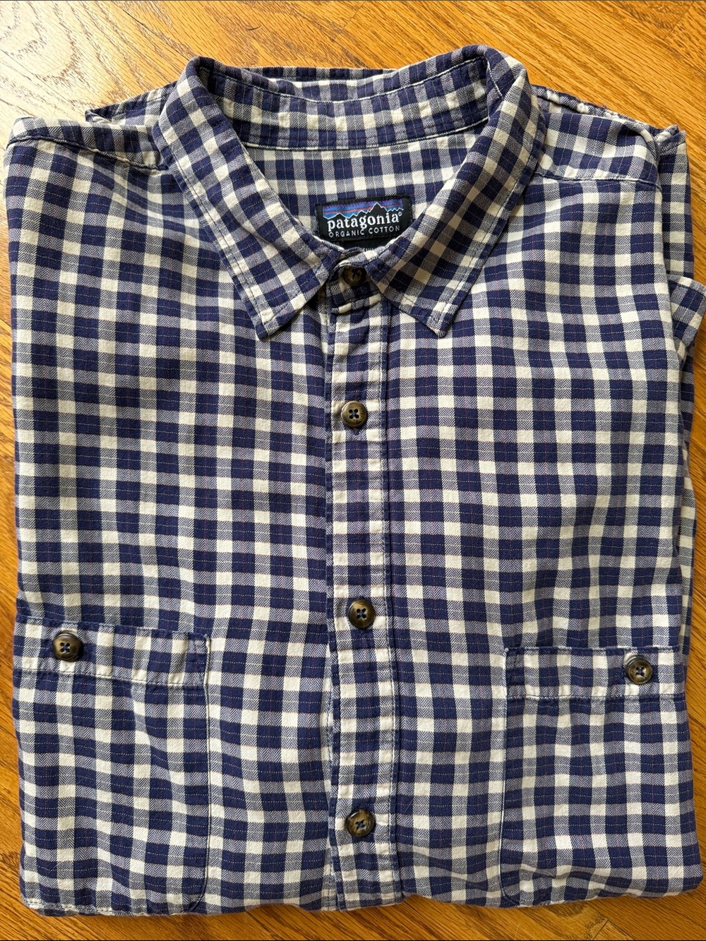 Patagonia Button Down L/S Checked Shirt